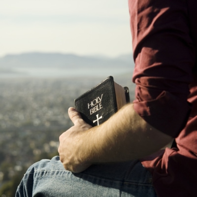 Bible And A View